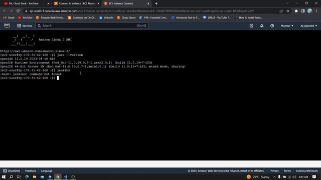 How to Install Jenkins on EC2 with Terraform on Amazon Linux and Ubuntu смотреть онлайн