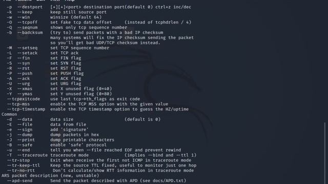 Make website irresponsive using hping3 смотреть онлайн