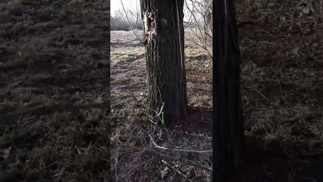 Сиреневый парк Херсон 1 марта 2023