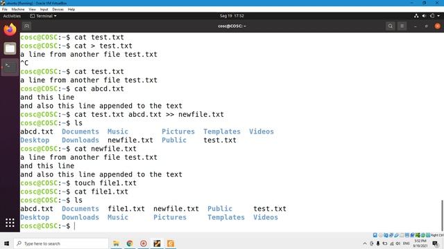 Chapter 2: Linux Basic commands смотреть онлайн