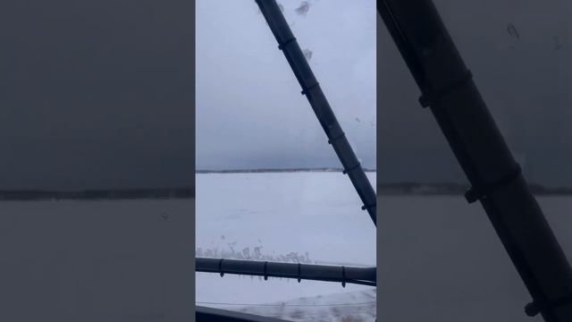 Экопарк "Турист", Тюменская область, сфера Д7 для проживания #глэмпинг #glamping смотреть онлайн