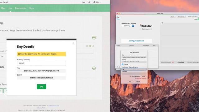 Instructions for GoDaddy DDNS configuration with RealDNS смотреть онлайн