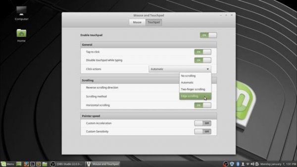 Linux Mint Mouse And Touchpad Settings - How to Fix