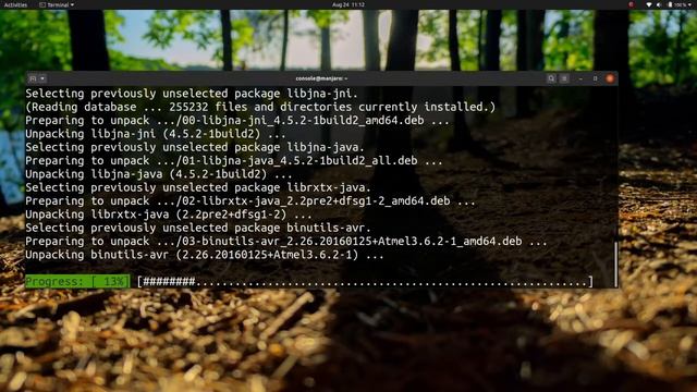 Installing Arduino IDE on Ubuntu 20.04 смотреть онлайн