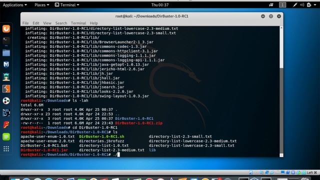 How to Download and Install Dirbuster on Kali Linux смотреть онлайн
