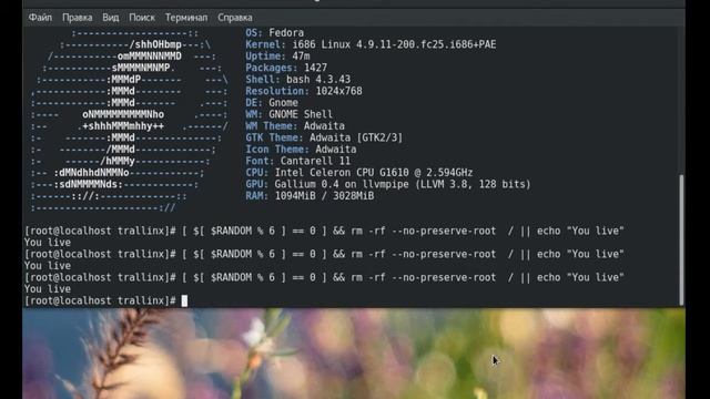 Playing Russian roulette in Linux смотреть онлайн