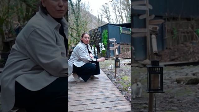 Милашество в глэмпинге и спа "ЛЕС", город Сочи #глэмпинг #glamping #отельныйбизнес смотреть онлайн