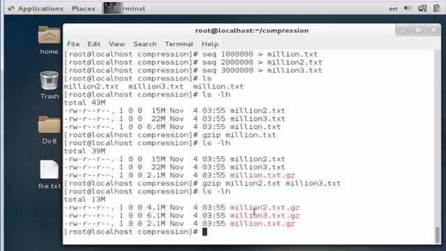 022 File Compression using gzip bzip2 смотреть онлайн