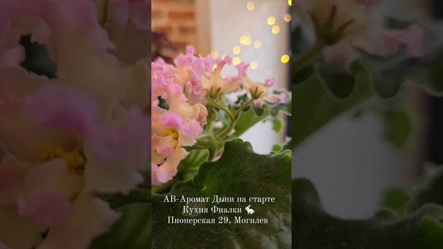 Абсолютная осень с АВ-Аромат Дыни на старте и контрастным АВ-Гром и Молнии. смотреть онлайн