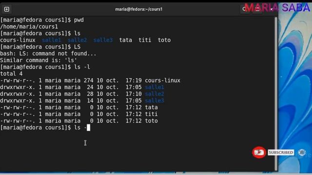 Linux - cours1 : Introduction sur Linux et pratique de la commande "ls" avec ses options. смотреть онлайн