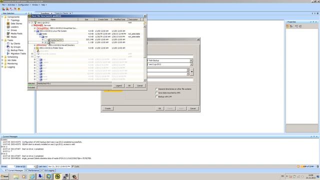 Novell Open Enterprise Server OES Backup & Restore (Lang_EN) | SEP sesam Tutorial смотреть онлайн