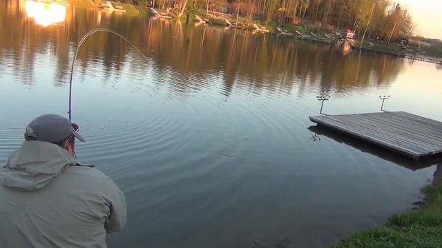 Сом нахлыстом на KOLA SALMON Свитч LIBRA смотреть онлайн