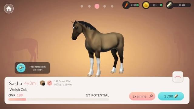 Jak Hodować źrebaki w Equestrian The Game?🐴🏆 | #poradnik смотреть онлайн