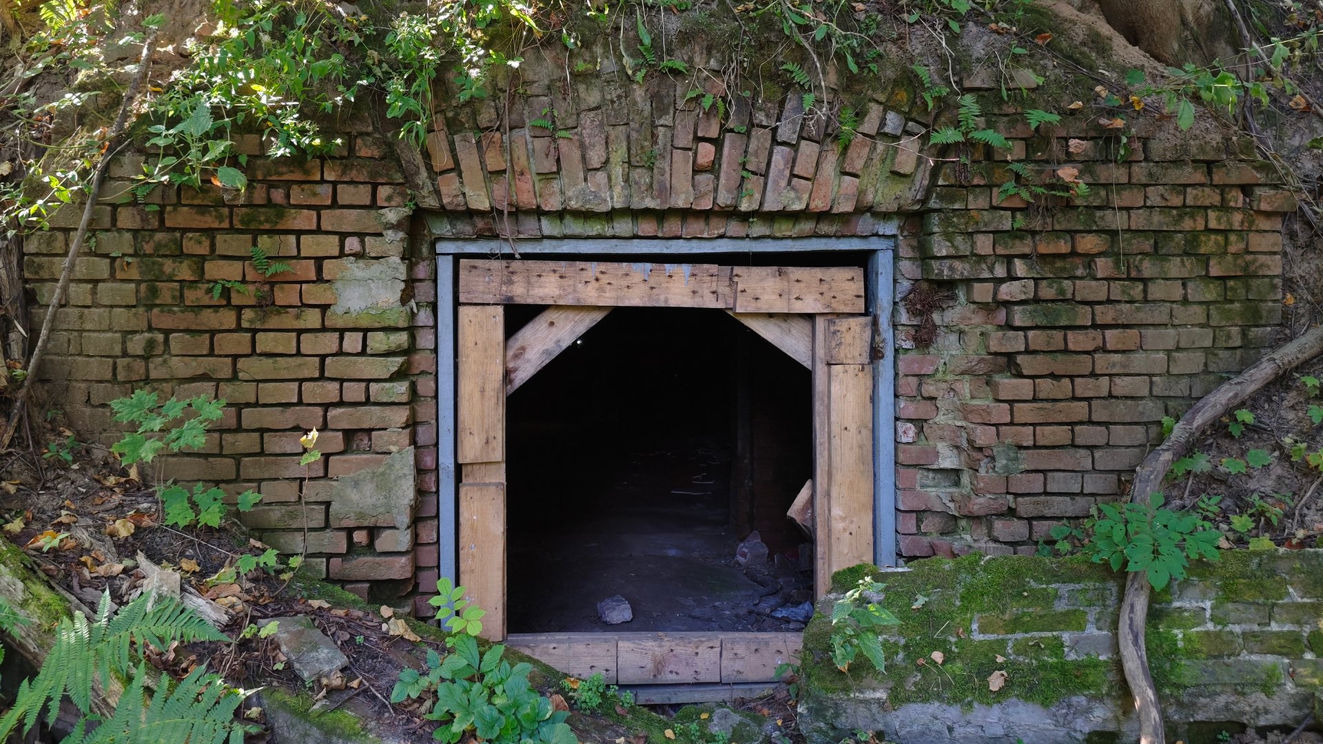 Нашли заброшенный погреб. Два ИЖа. смотреть онлайн