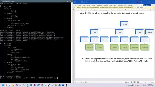 IT6004 Lab 2B - Linux (make, move, and delete directories and files) смотреть онлайн