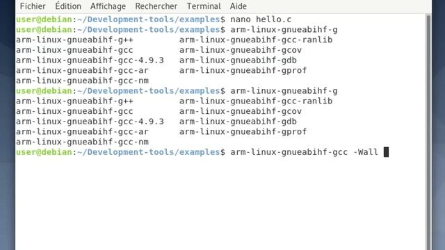 EMBEDDED LINUX ARM 32 : CROSS-COMPILING "HELLO WORLD" with DEBIAN 10 installed on VIRTUALBOX for AR смотреть онлайн