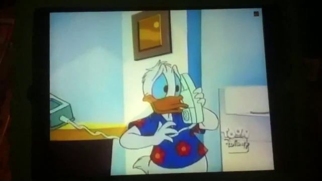 Quack Pack Answer The Phone With Hello By Donald Duck смотреть онлайн