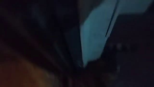 Учу кошку ездить на лифте | Катаю кошку на лифте смотреть онлайн