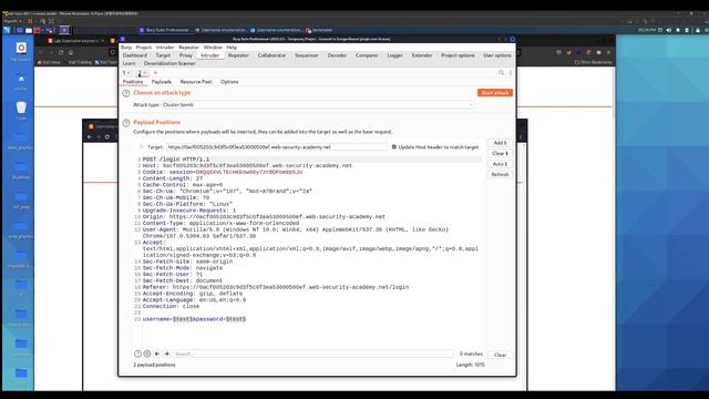 Burp Suite Tutorial #4 Intruder Cluster Bomb смотреть онлайн