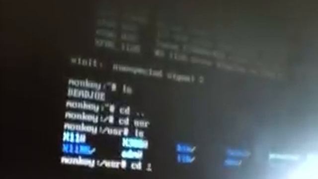 Monkey Linux - Linux under DOS смотреть онлайн