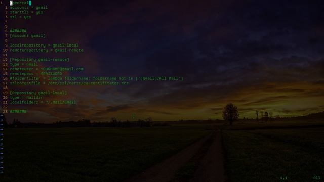 mutt Email + OfflineIMAP and msmtp - See your email offline! смотреть онлайн