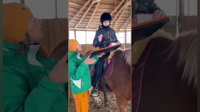 СказкоИппотерапия - помогаем строить мышке дом! смотреть онлайн