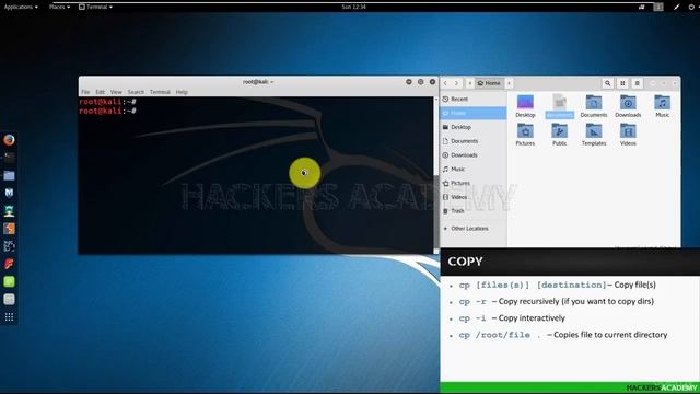 1343556 11 Copying files and directories смотреть онлайн