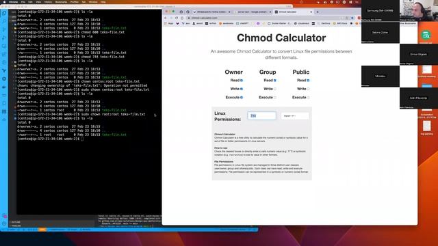DevOps Mentorship Program - Week 2 - Linux / UNIX commands (#tier-1-group-2) смотреть онлайн