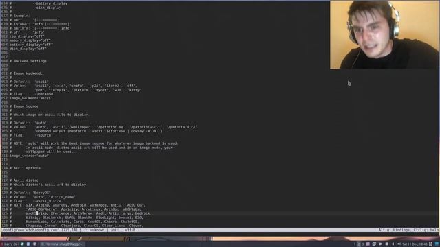 Gentoo Linux Speedrun Any% [Install skip, neofetch strats] смотреть онлайн