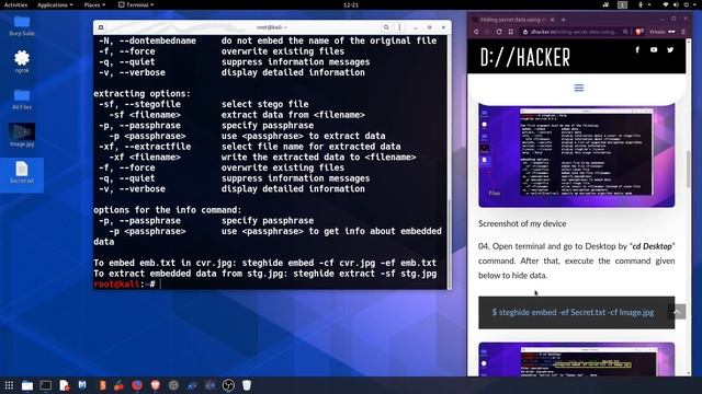 How to hide private data? | Steghide | Stegnography tool | How to do Stegnography? смотреть онлайн