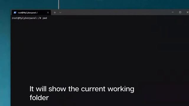 pwd command in Linux - path of the current working directory смотреть онлайн