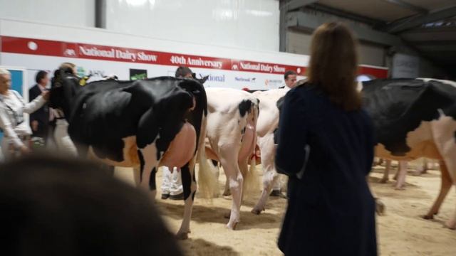 Ireland's Supreme Champion Holstein at the 2022 National Dairy Show- Hallow Atwood Twizzle .EX94 смотреть онлайн