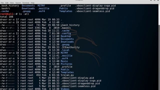 Les bases de la ligne de commandes | Kali Linux смотреть онлайн