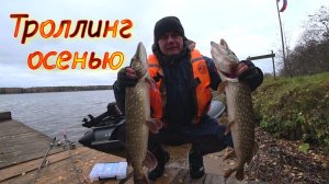 Троллинг осенью, хороший клёв щуки!