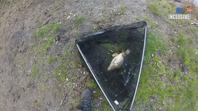 Рыбалка на карпа в Германии. Китайские приманки в действии. Часть - 1 смотреть онлайн