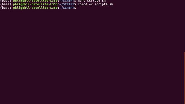 SCRIPT -- 3 (BASH - Linux) смотреть онлайн