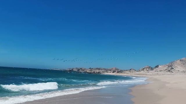 Fly Fishing в Омане Первое знакомство с Пермитом смотреть онлайн