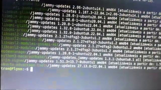 erro na atualização linux mint смотреть онлайн