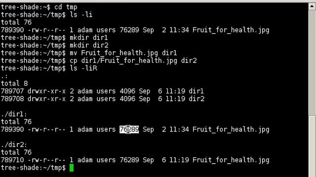 How to get rid of duplicate files in Linux using hardlink.py смотреть онлайн