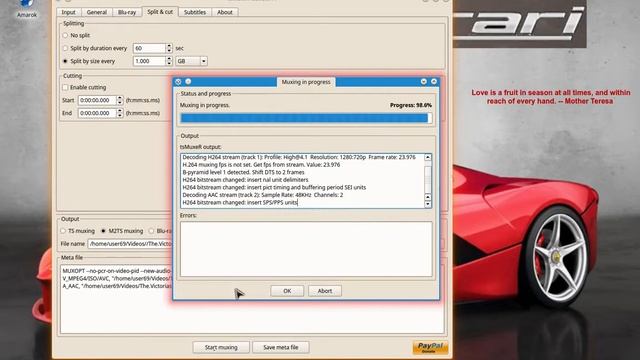 tsMuxer Gui Split Video File 2016 12 31 смотреть онлайн