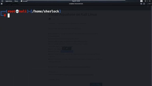 Install Aquatone on Kali Linux смотреть онлайн