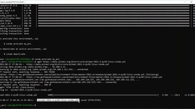 Tutorial on metagenomic data analysis 2- Installing Qiime2 смотреть онлайн