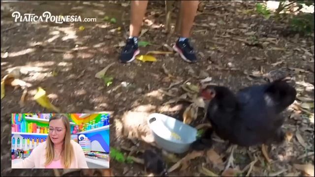 PINTO TU PARED DENISSE GUZMAN! 🎨🌊☀️ смотреть онлайн