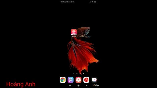 App Live thái lan Thlive mod mở khóa phòng không cần đăng nhập смотреть онлайн