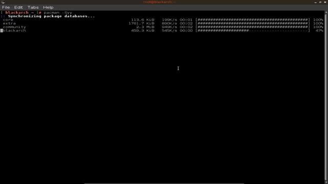BlackArchLinux | The Penetration Distro смотреть онлайн