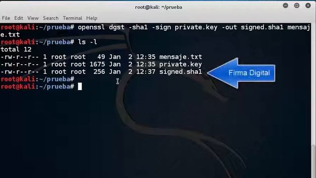 firma digital con openssl смотреть онлайн