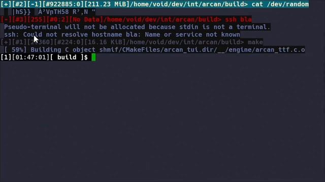 Quick Lash#Cat9 teaser смотреть онлайн