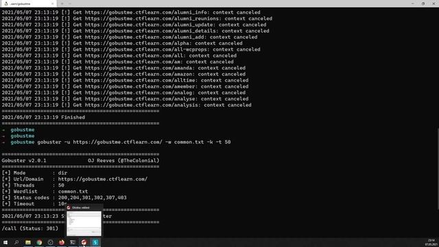 CTFlearn #047 Gobustme смотреть онлайн