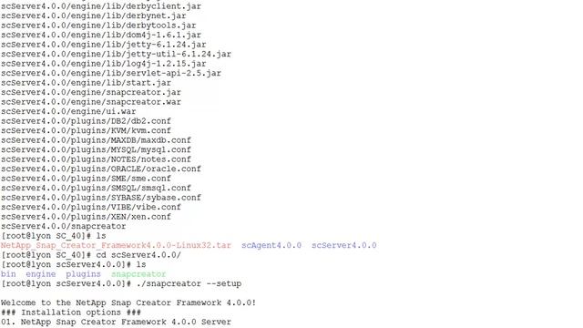 Installing the Snap Creator 4.0 Server on UNIX смотреть онлайн
