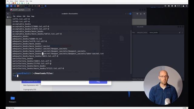 PicoCTF Walkthru [98] - First Find смотреть онлайн